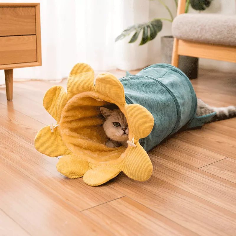 Cat Tunnel