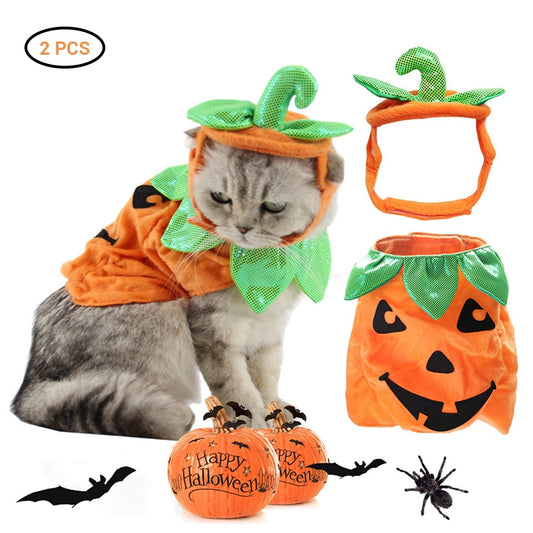 Halloween Cats Costume