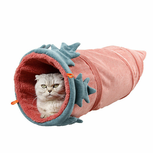 Cat Tunnel