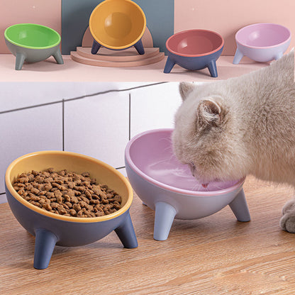 Cat Food Bowl With Stand