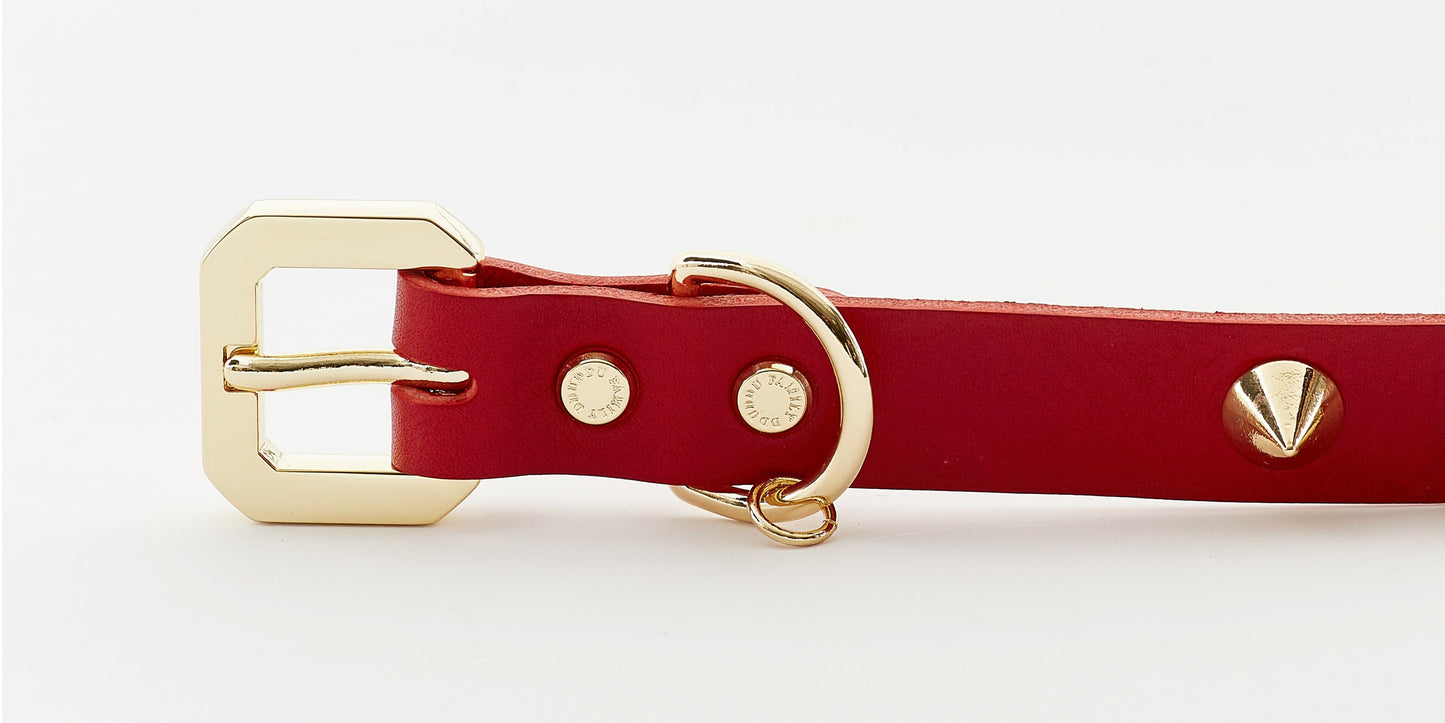 Golden Spike Kitty Red Collar