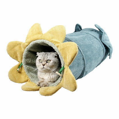 Cat Tunnel