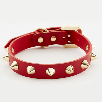 Golden Spike Kitty Red Collar