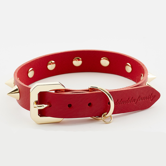 Golden Spike Kitty Red Collar